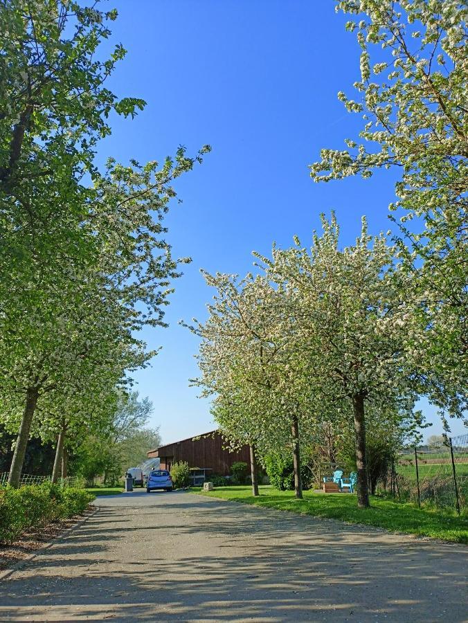 Les Chambres D'Hotes Du Vert Galant " L'Allee Des Champs" Verlinghem Eksteriør bilde