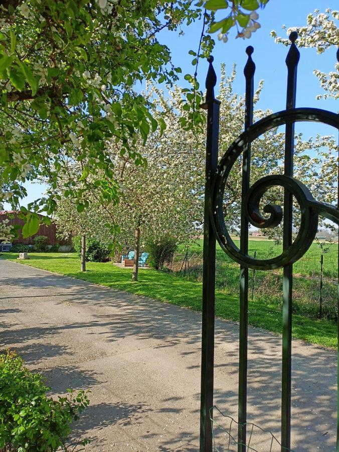 Les Chambres D'Hotes Du Vert Galant " L'Allee Des Champs" Verlinghem Eksteriør bilde